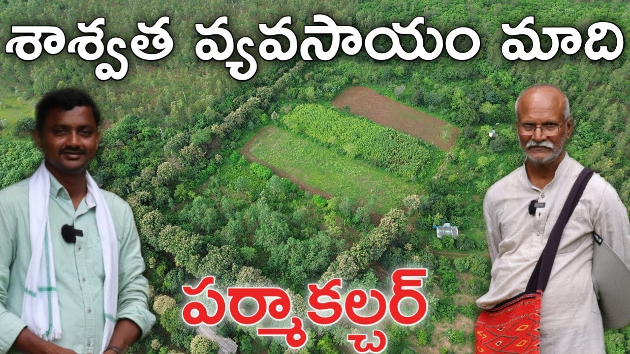 11 ఎకరాల్లో శాశ్వత వ్యవసాయం చేస్తున్నాం | Permaculture | రైతు బడి