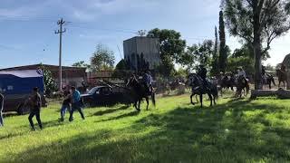 Fiestas patronales la nopalera de ayotlan Jalisco.????