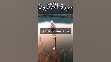 سورة الكافرون بصوت هزاع البلوشي#القرآن_الكريم_منوعات_منوعات