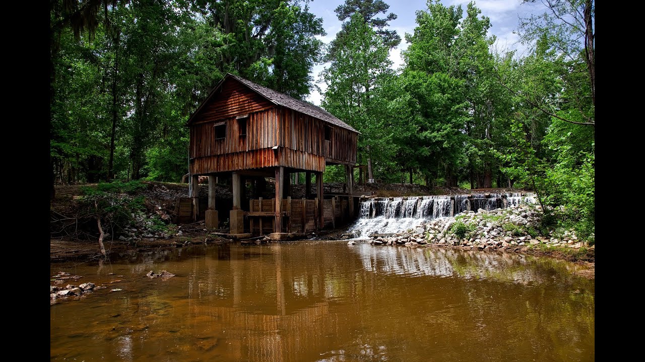 Ecuador Amazonian forest ambience ASMR-Relax,Rest,Meditate,Focus,Concentrate,Study