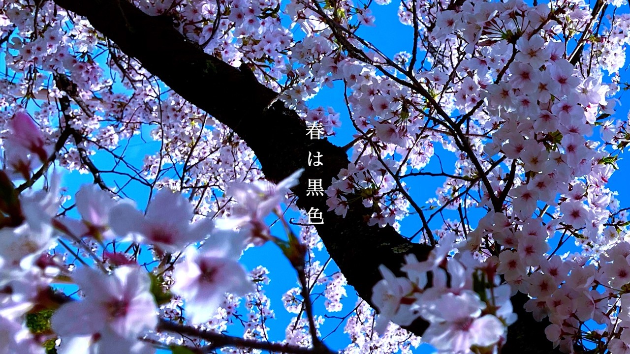 Recarna Tocco - 春は黒色 feat.初音ミク