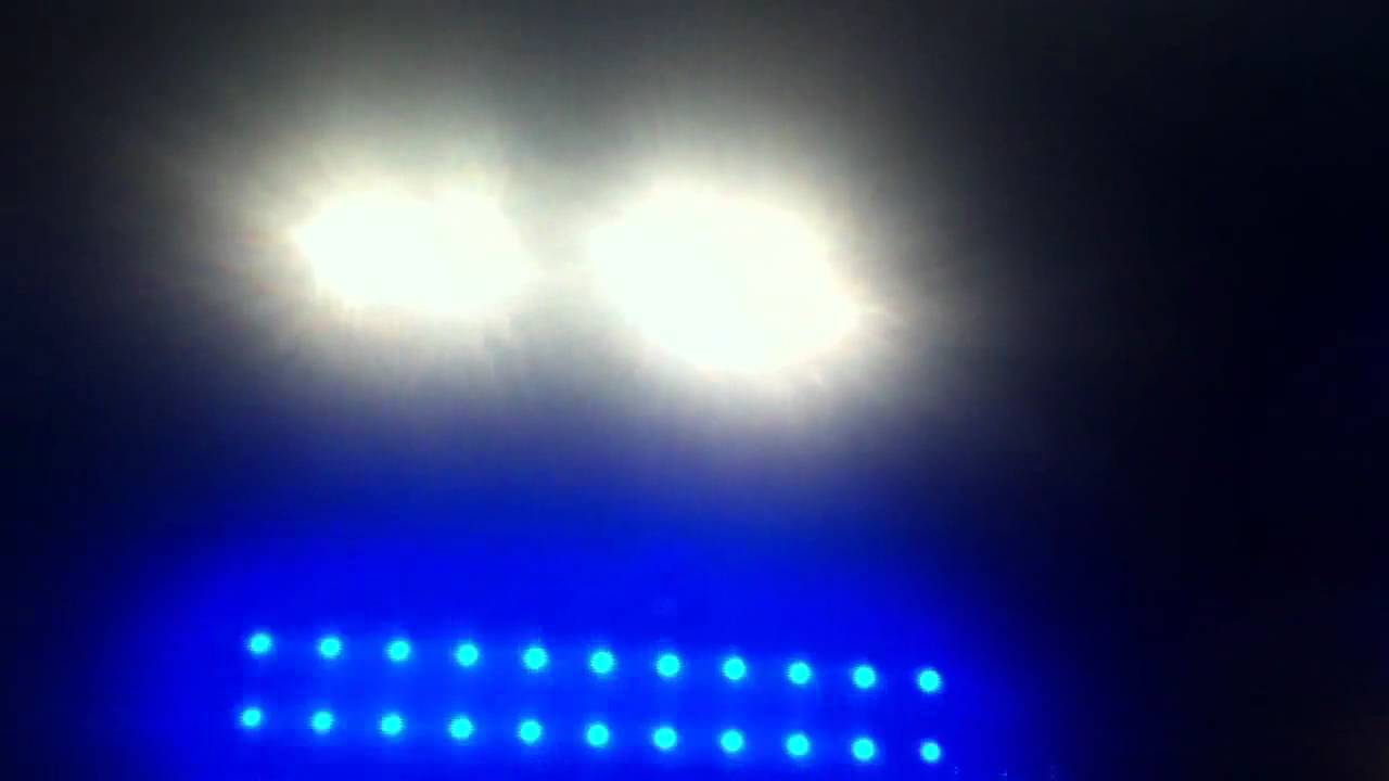 Flux Pavilion & Dr. P at Audiotistic 2011 Opening