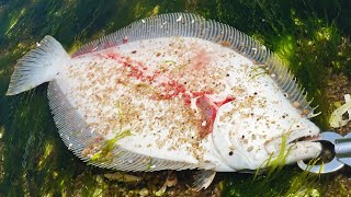 Fluke Jigging LIMIT - Summer Doldrum Flounder Fishing Tips and Tricks Fluke Summer Flounder Tips
