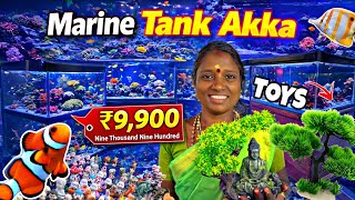 Aquarium Shop Tour In Kolathur, Chennai Prices, Decorations Marine Setup Guide