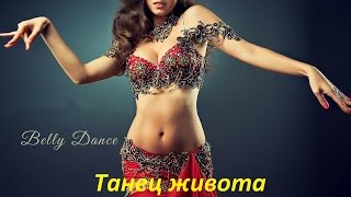 Танец живота начинающие (за 20 минут в день) Танец живота начинающие (за 20 минут в день)