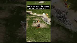 Huge Rival Pack Raids Den! #wolfquestsaga #wolfattack #raiders Net Worth