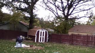 Assassin's  Creed haystack asassination fail