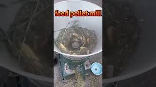 Feed Pellet Machine Working Process, High Output Stable Performance#animalfeed #farming #cattlefeed