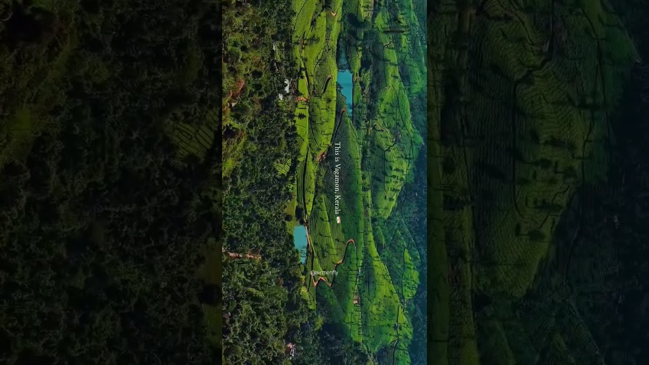 Kerala Natural Beauty  - 4K [HDR]
