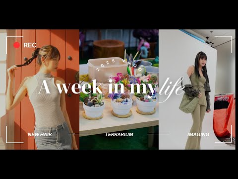 First vlog in 2025!✨New haircut 💇🏻‍♀️ | New Drama Imaging🎬 | First fan club gathering of the year🪴