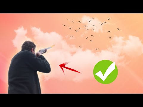 Dear, New Shotgun Shooter