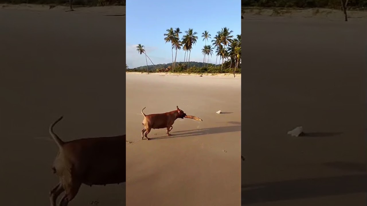 Fundamos 2025, graças a Deus!