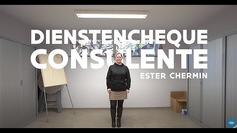 Beroepenfilm dienstenchequeconsulent