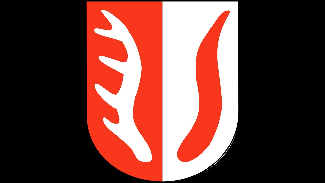 Nadzwyczajna VIII Sesja Rady Gminy Orchowo z dnia 7 10 2024