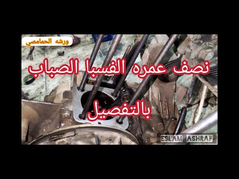 نصف عمره الفسبا الصباب بالتفصيل و اهم النصائح لضمان نجاحها