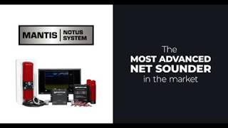 The Notus Mantis