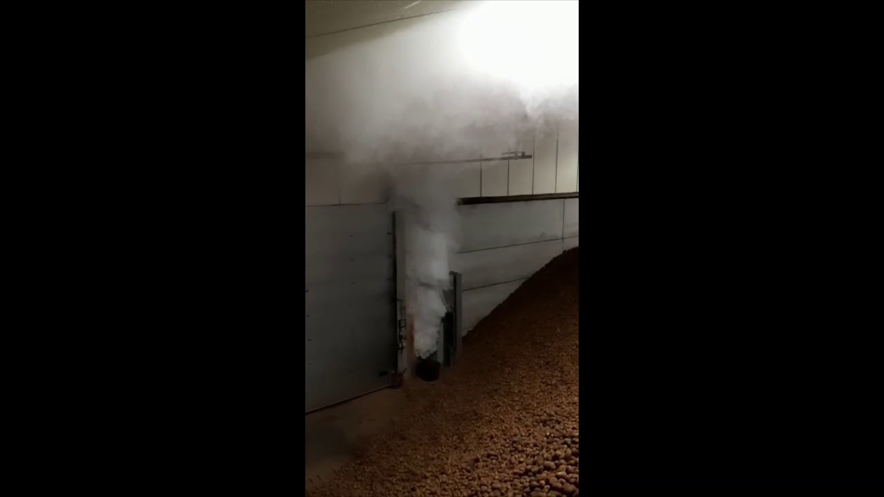 Vergassen aardappelen