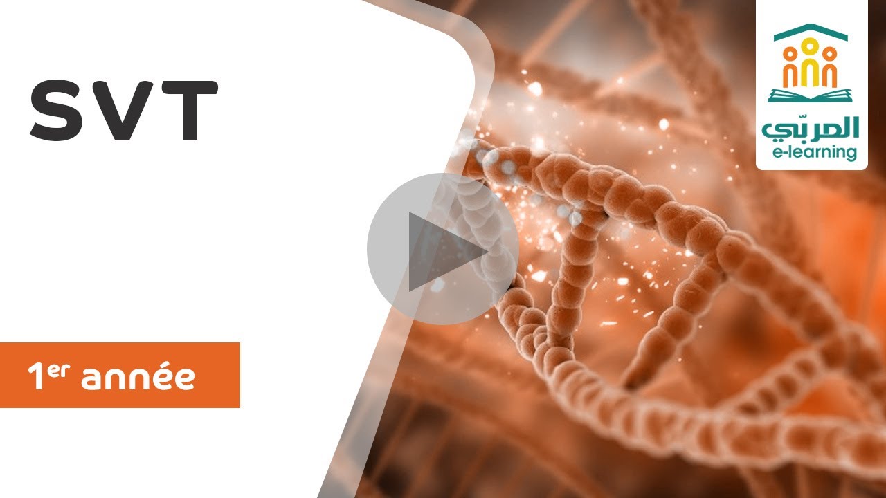 1ère Année SVT : Révision Nutrition Carbonée | Devoir de Synthèse n°2