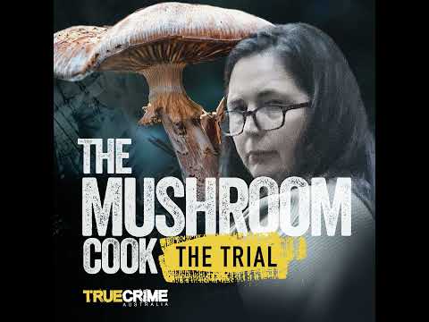 The Trial: Guilty | 53