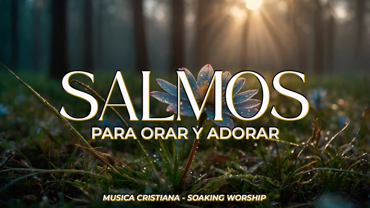 1 HORA de SALMOS CANTADOS del Rey David para SANAR y Descansar en DIOS 🙌 | 🕊️ Musica Cristiana  🎶