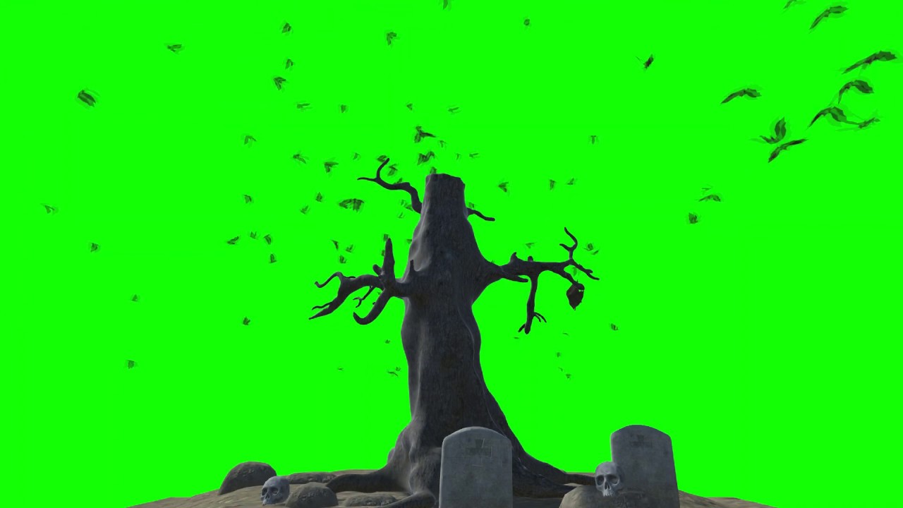 Huge Bat Flock And Haunted Tree Green Screen Animation