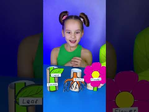 🌸 Divertido Arte de Flores 🎨 ¡Observa Cómo Cobra Vida tu Flor! ✨