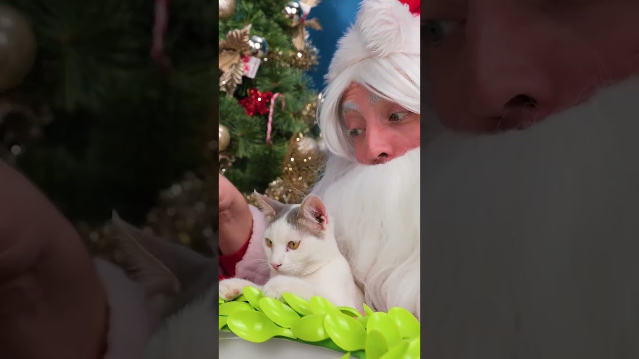 Transform Your Toilet Seat into a Festive Wreath! 🎄✨ 