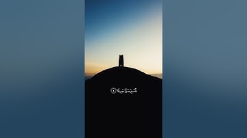 " فاصبر صبراً جميلاً " حمزة بوديب - تلاوة جميلة 💆🏻❤️