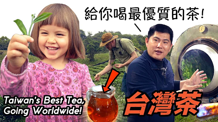 花蓮的茶農邀請我們到他家住，教我們如何製作優質的得獎茶Artisan Tea Farmer Showed us How Tea is Made & We Started a Business! - 天天要聞