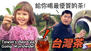 花蓮茶農揭秘【世界級好茶的製作過程】我們也創業了！Taiwanese Artisan Tea Farmer Reveals All & We Started a Family Business!