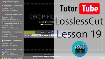 LossLessCut Tutorial - Lesson 19 - Capturing Frame