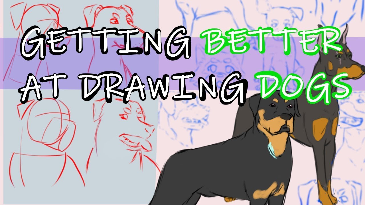 PRACTICING the art of DRAWING DOGS YouTube