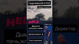 И ЭТО РОССИЯ!!! ЖИВОДЕРЫ И БЕЗЗАКОНИЕ!!!