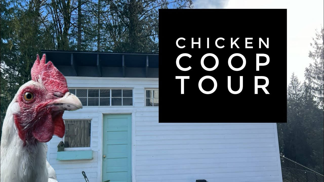 Chicken Coop Tour YouTube