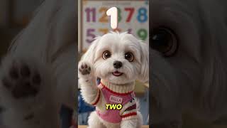 Bella Helps You Count All the Way to 5! 🐶🔢