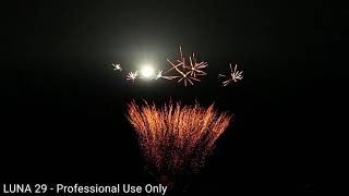 EVOLUTION FIREWORKS - LUNA 29