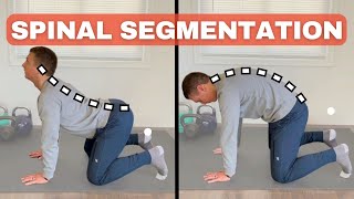 Spinal Segmentation — Learn how to move your spine