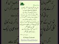 Islamic information Islamic quotes اس کے برابر لکھو