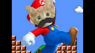 troleado por un gato { cat mario