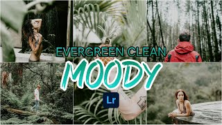 Easy Photo Editing | Evergreen Clean Moody Preset | Lightroom Mobile Preset | RR Edits screenshot 4