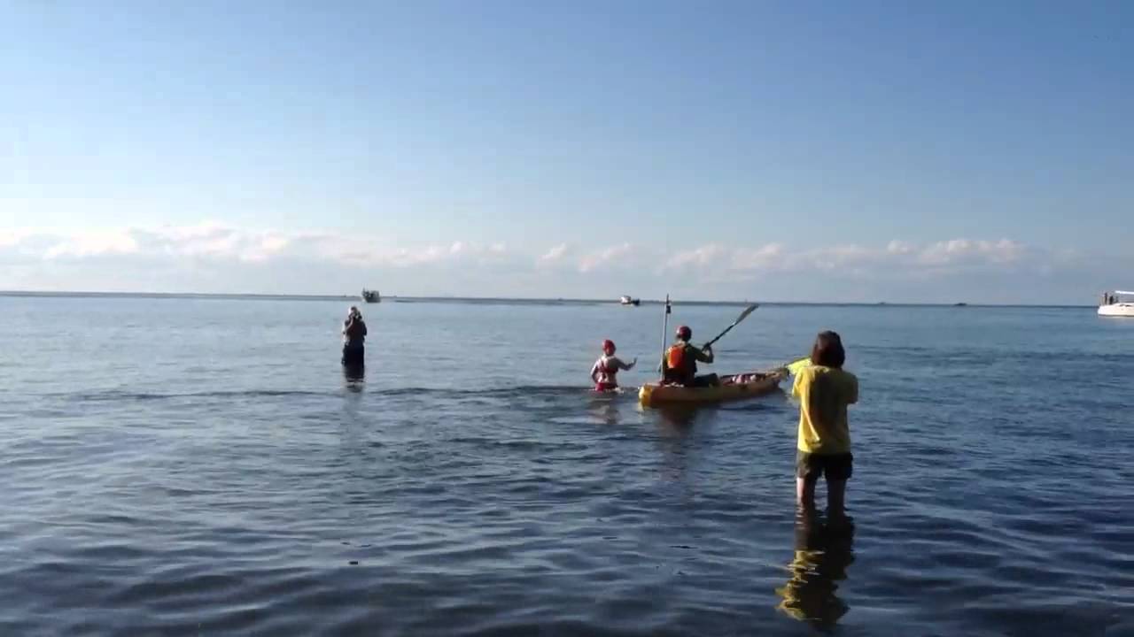Annaleise Carr youngest swimmer to cross Lake Ontario YouTube