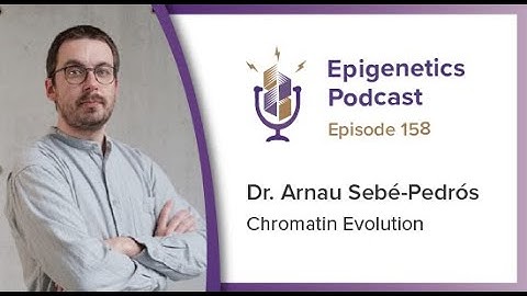 Epigenetics Podcast #158 - Chromatin Evolution with Arnau Sebé-Pedrós