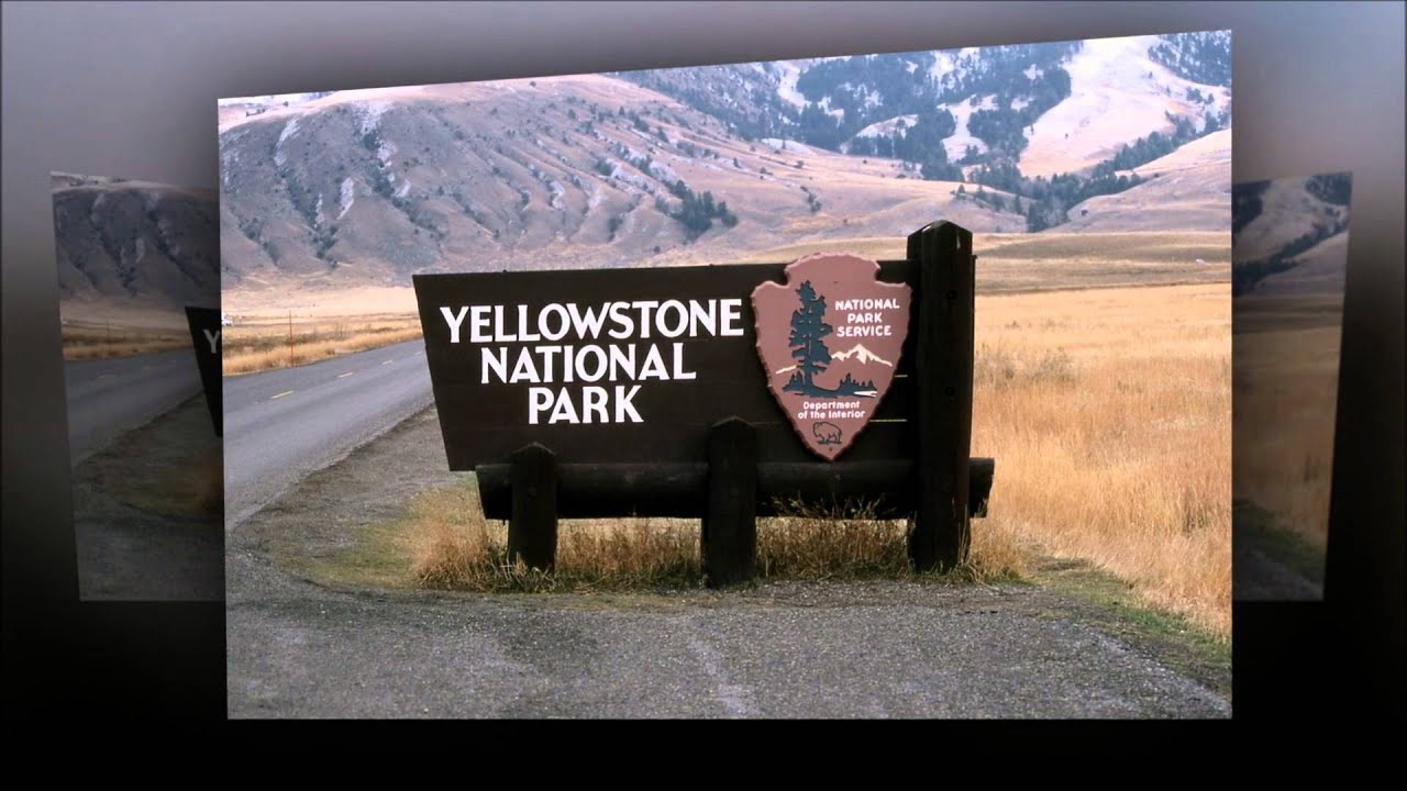 NPOTA interview with Sean Kutzko