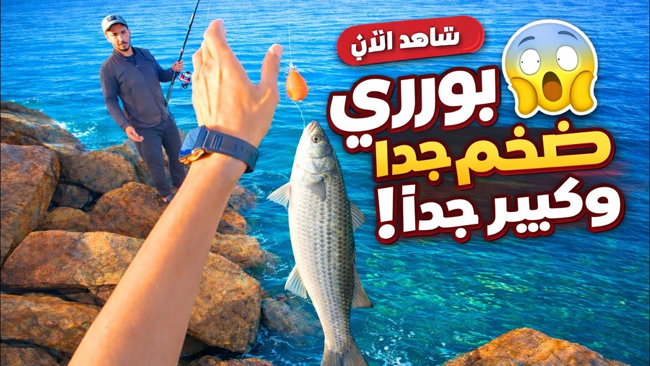مغامرة صيد ولا أروع قرب شواطئ دار بوعزة وسط أمواج ساحرة 🌊😍 #اكسبلور #fishing #beach #سمك #explore 