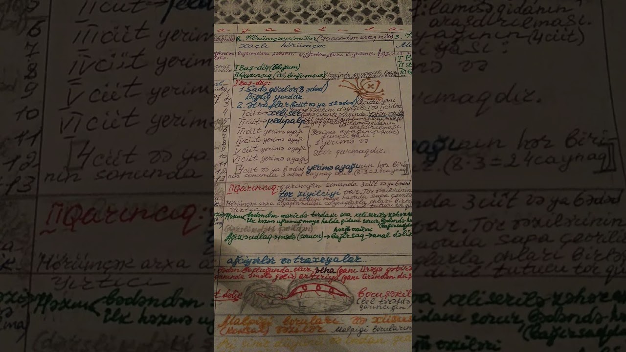 7-ci  sinif/38.Hörümçəkkimilər sinfi(1-ci hissə)20 mart 2020