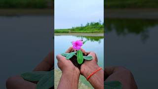 Reverse Effect Videography Idea