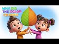 Why Do Leaves Turn Yellow? 🍂 | Fun Nature Science for Kids