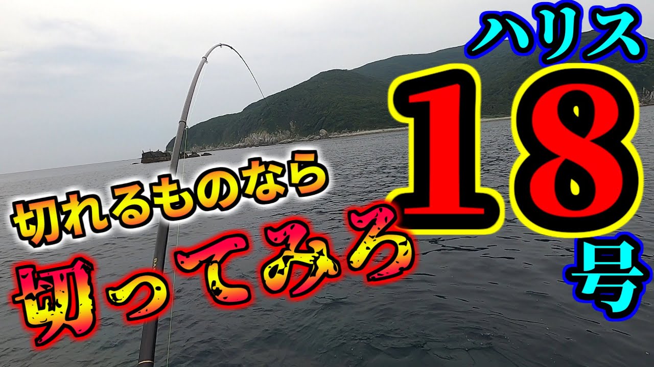 高知、沖ノ島でのするするスルルーで・・・