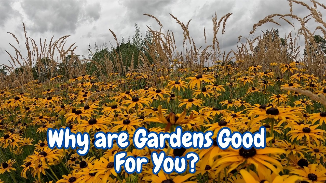Why Are Gardens Good For You? - The Therapeutic Benefits of a Garden