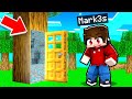 QUESTO ALBERO NASCONDE una BASE SEGRETA in MINECRAFT!